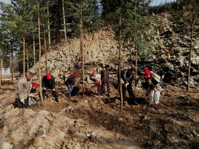 九华山林场志愿者开展暖冬义务植树活动