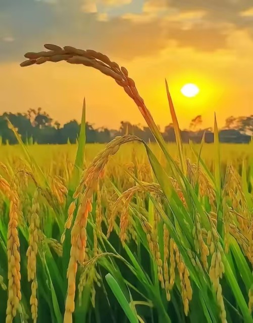 那次经历真难忘